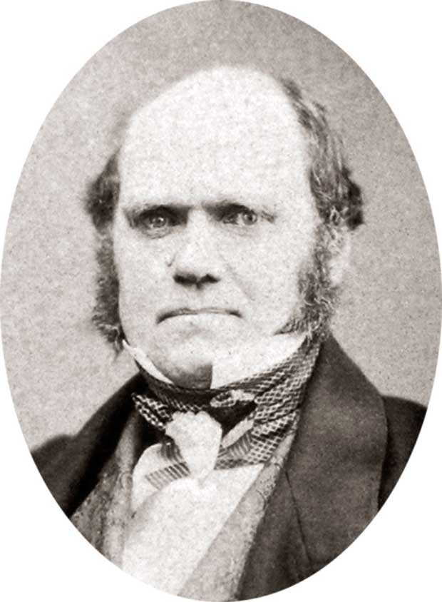 Photo credit: wikipedia